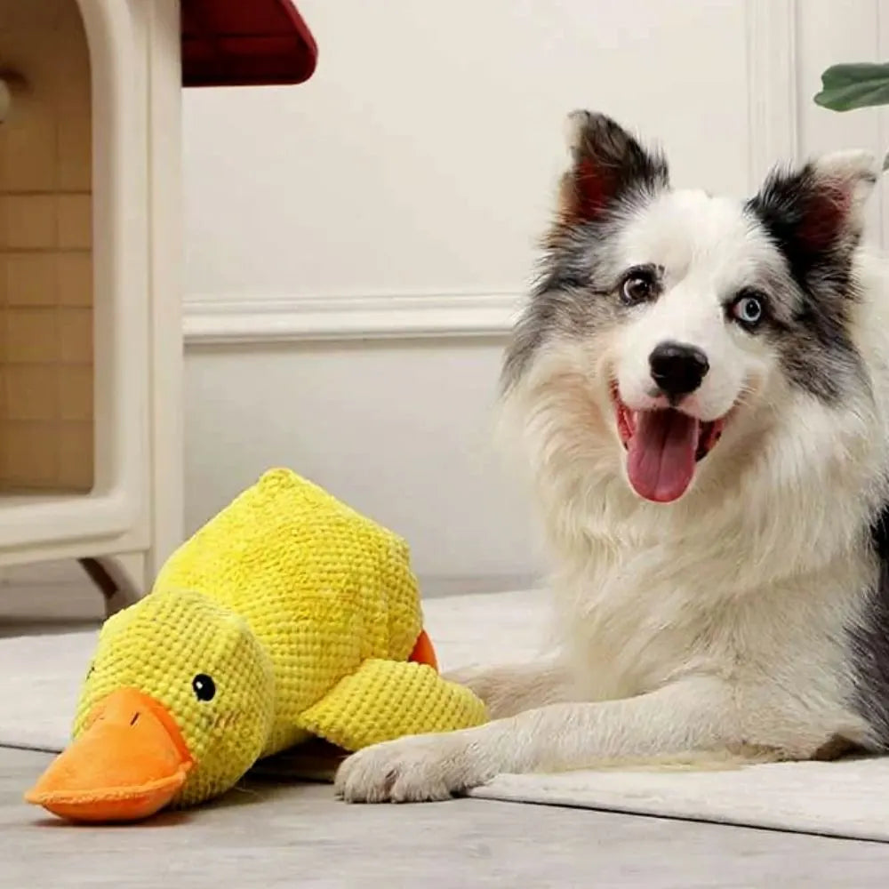 Brinquedo de pelúcia pato amarelo para cães