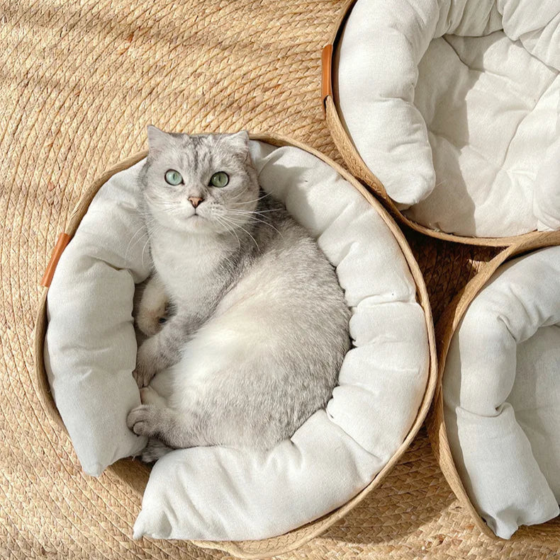 Cama de bambu artesanal sustentável para gatos