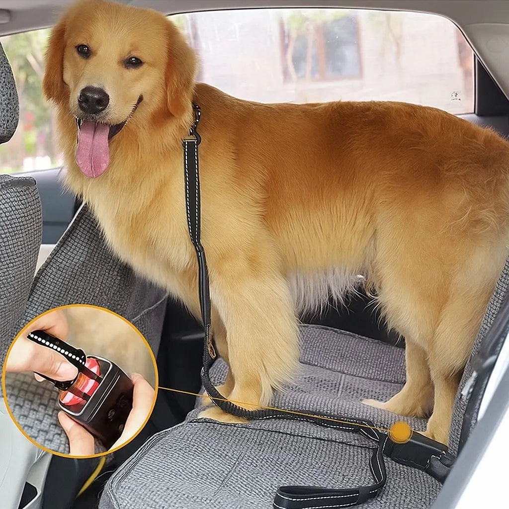 Guia pet multifuncional com fivela de cinto de segurança para acarro