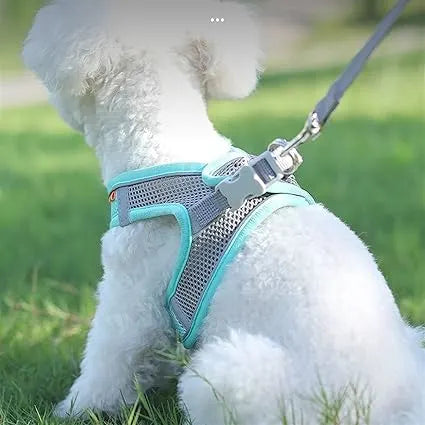 Peitoral antifuga ajustável e respirável para cães pequenos