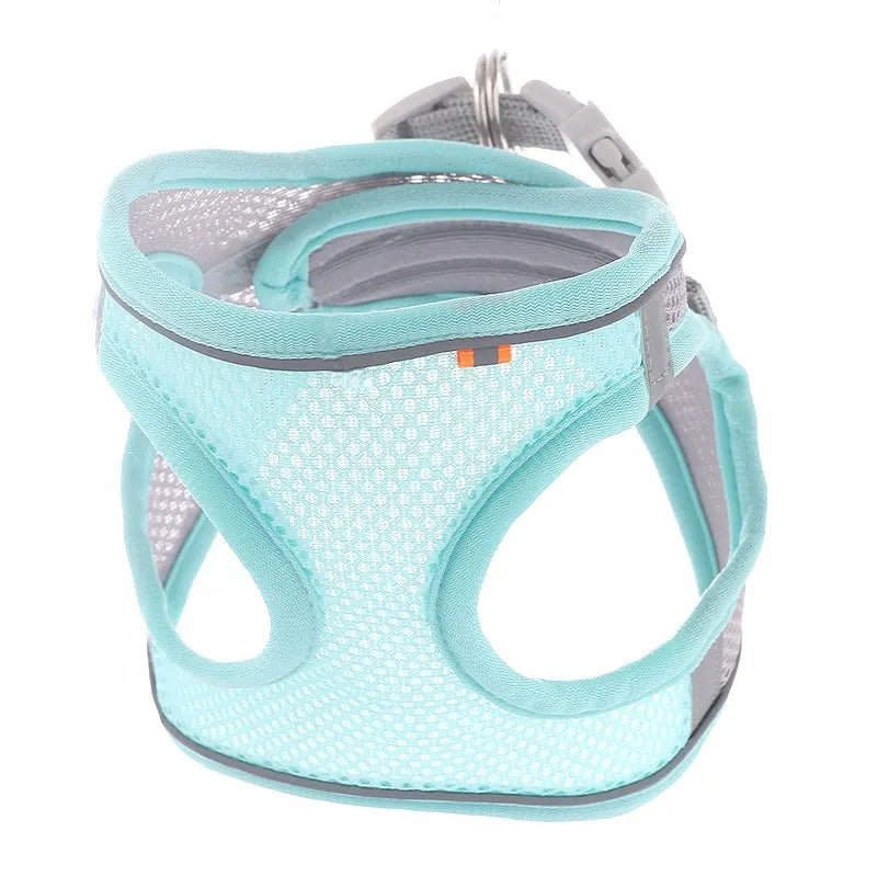 Peitoral seguro com velcro e fivela para cachorros de pequeno porte