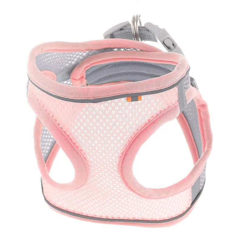 Peitoral seguro com velcro e fivela para cachorros de pequeno porte