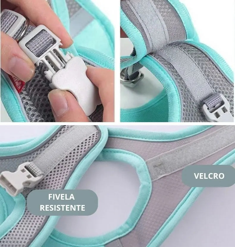 Peitoral seguro com velcro e fivela para cachorros de pequeno porte