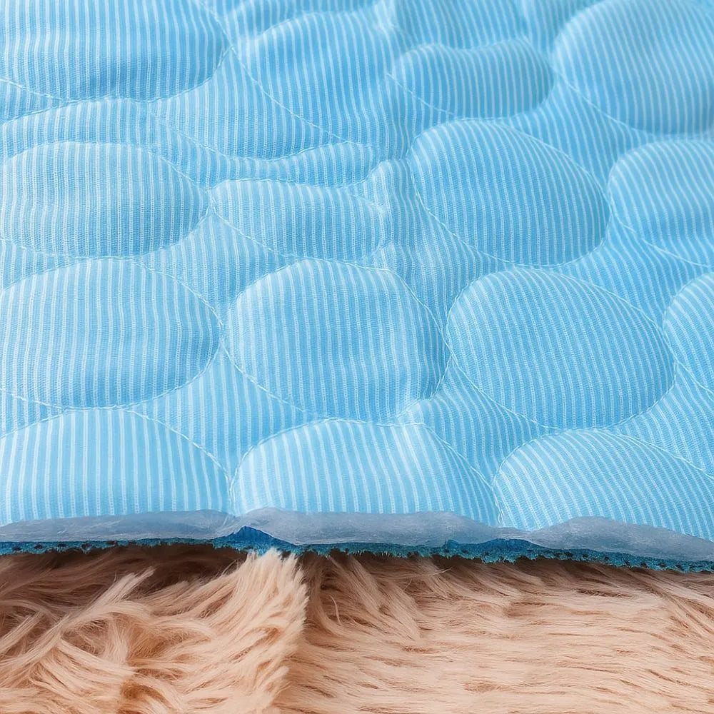 close-detalhe-no-tapete-pet-gelado