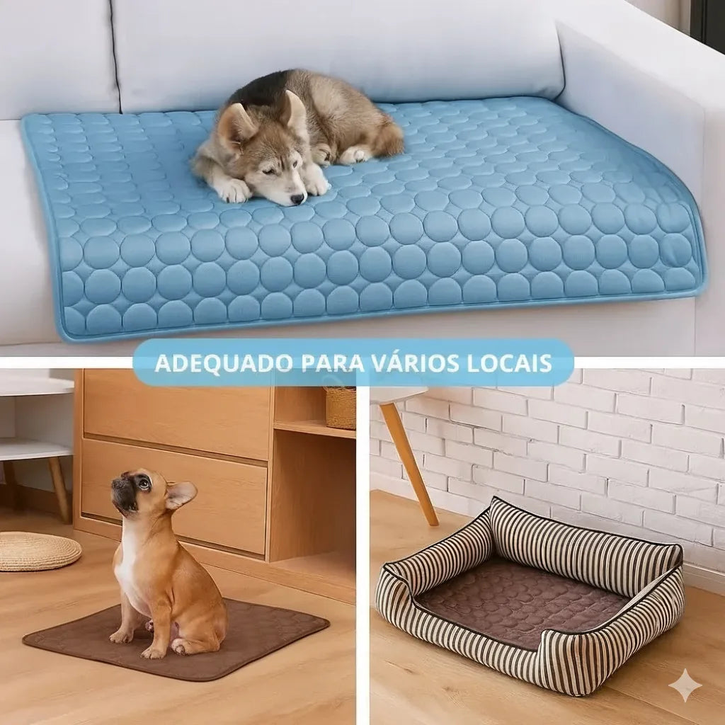 pet-descansando-em-tapete-refrescante-pet