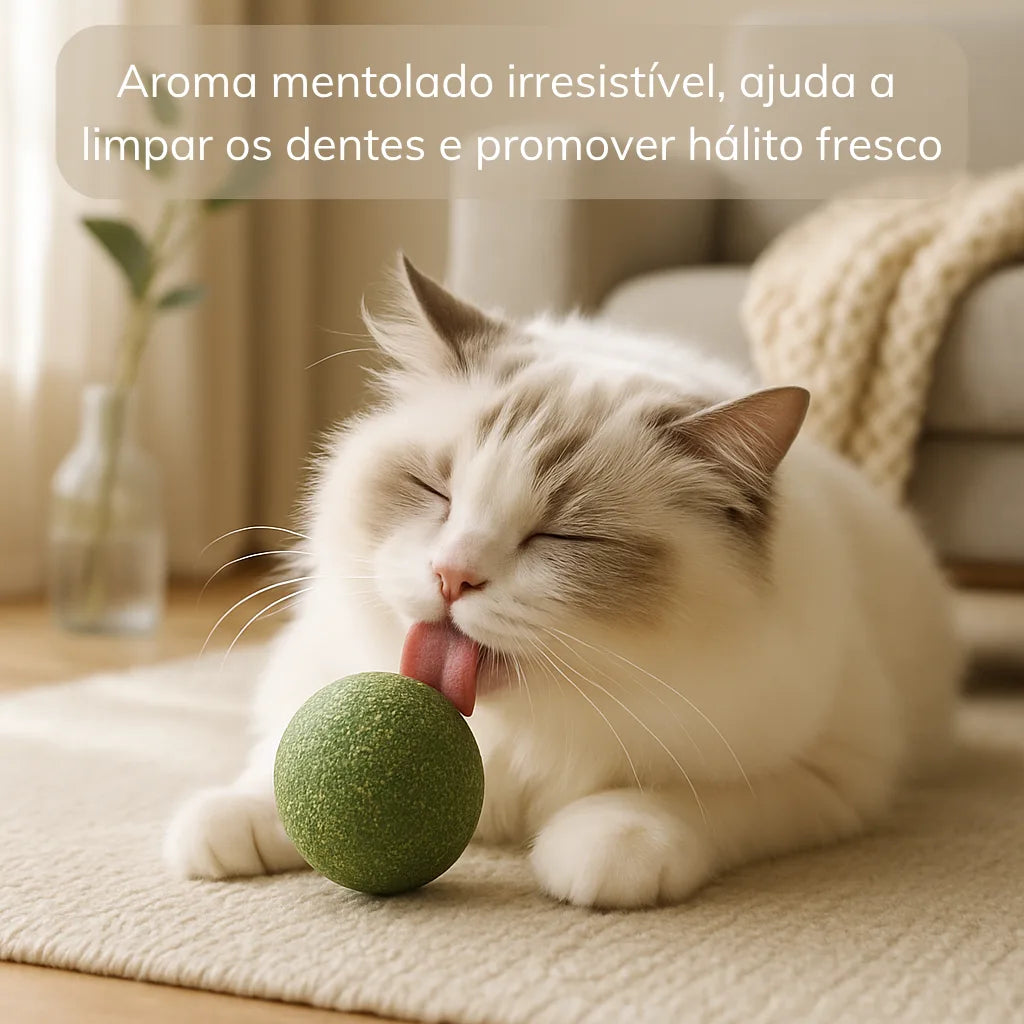 Gato brincando com Bolinha CatNip Premium natural