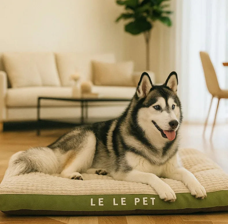 Cama para cachorro ultra macia com base antiderrapante