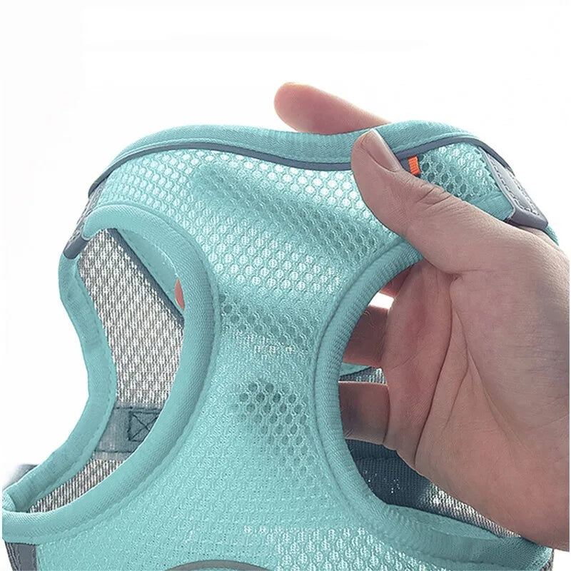 Peitoral seguro com velcro e fivela para cachorros de pequeno porte
