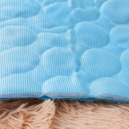 close-detalhe-no-tapete-pet-gelado