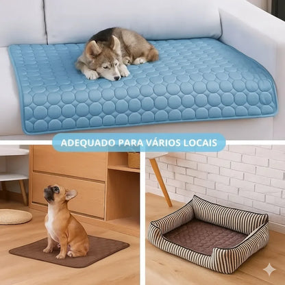 pet-descansando-em-tapete-refrescante-pet